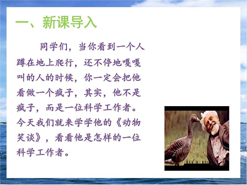 17《动物笑谈》课件+教学设计04