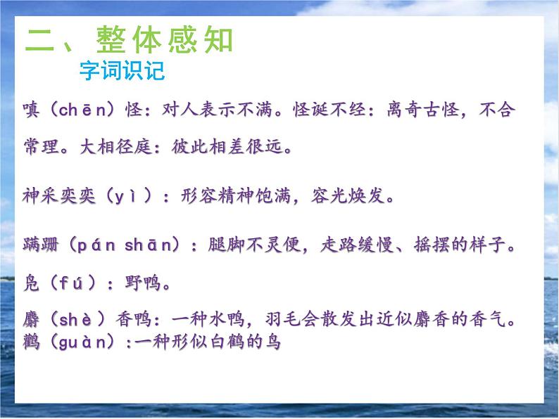 17《动物笑谈》课件+教学设计06