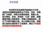 部编版九年级语文上册--3.我爱这土地--课件6