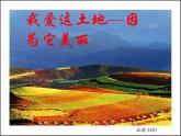 部编版九年级语文上册--3.我爱这土地--课件3