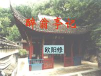 初中语文人教部编版九年级上册12 醉翁亭记说课课件ppt