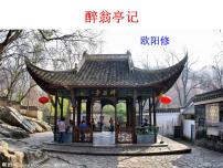 初中12 醉翁亭记集体备课ppt课件