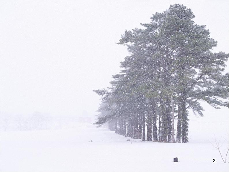 部编版九年级语文上册--1《沁园春·雪》课件--课件4第2页