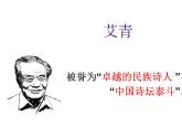 部编版九年级语文上册--3.我爱这土地--课件4