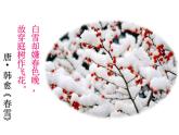 部编版九年级语文上册--1《沁园春·雪》课件--课件5