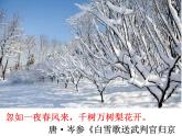 部编版九年级语文上册--1《沁园春·雪》课件--课件5