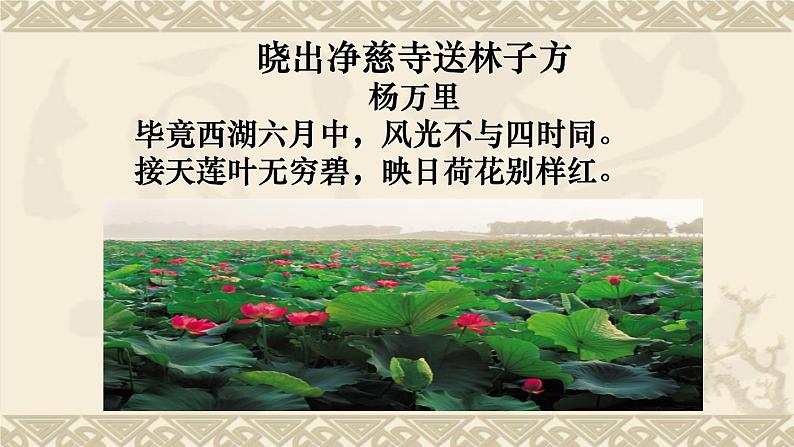 部编版九年级语文上册--13.湖心亭看雪--课件402