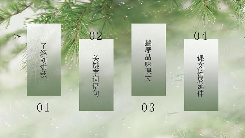 第3课《雨的四季》课件（共28张PPT）　2021－2022学年部编版语文七年级上册02