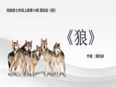 第18课《狼》课件（共39张PPT） 2021-2022学年部编版语文七年级上册