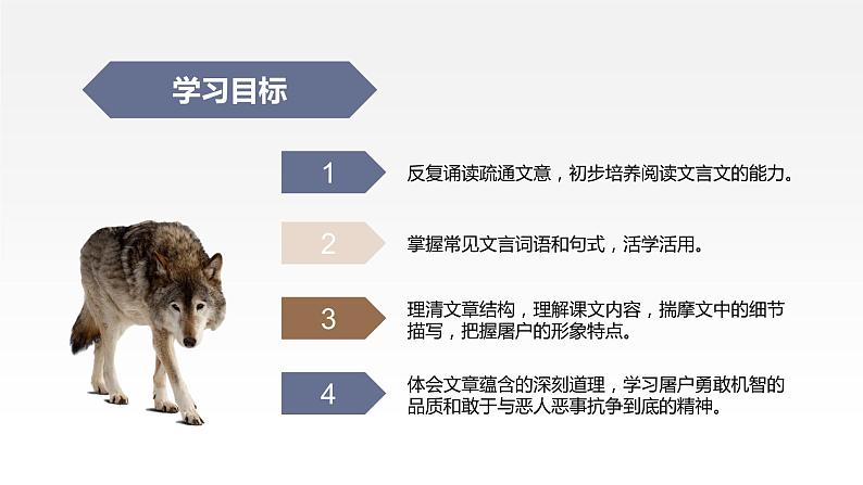 第18课《狼》课件（共39张PPT） 2021-2022学年部编版语文七年级上册02