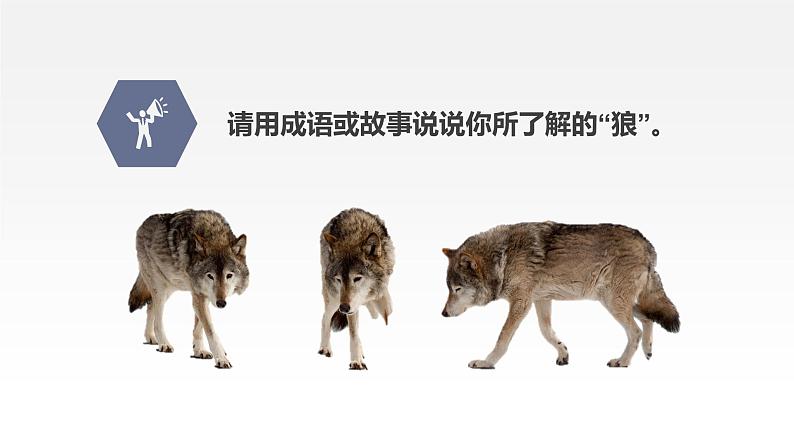 第18课《狼》课件（共39张PPT） 2021-2022学年部编版语文七年级上册06