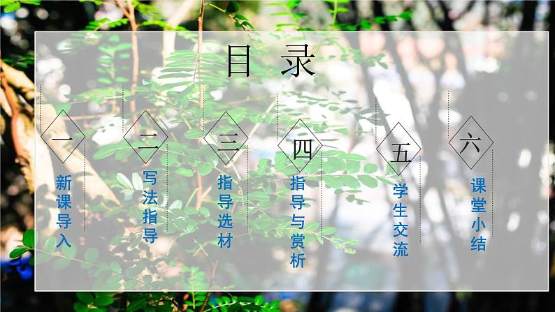写作《学会记事》课件+教学设计02