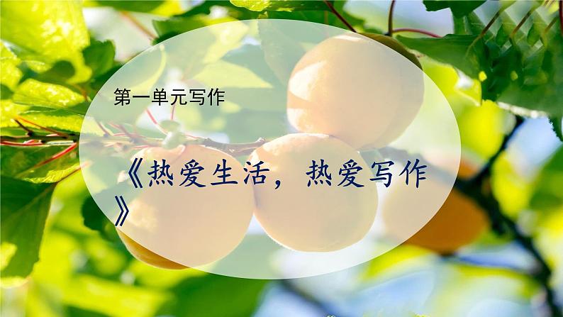 写作《热爱生活热爱写作》课件+教学设计01