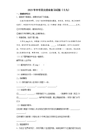 2023年中考语文综合复习试题（十九）