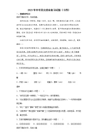2023年中考语文综合复习试题（十四）