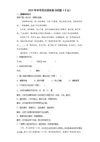 2023年中考语文综合复习试题（十五）