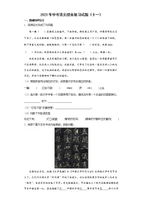 2023年中考语文综合复习试题（十一）
