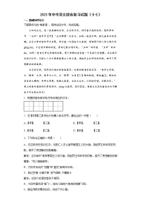 2023年中考语文综合复习试题（十七）