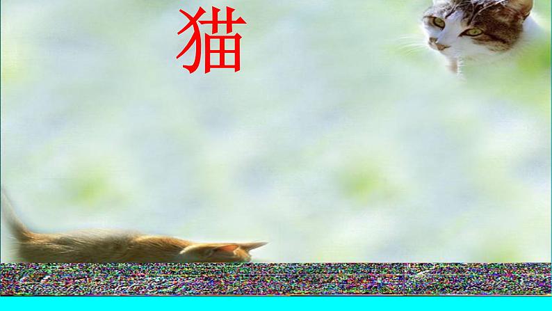 16猫ppt-部编版七年级上册初中语文03