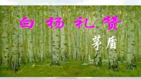 语文八年级上册14 白杨礼赞集体备课ppt课件