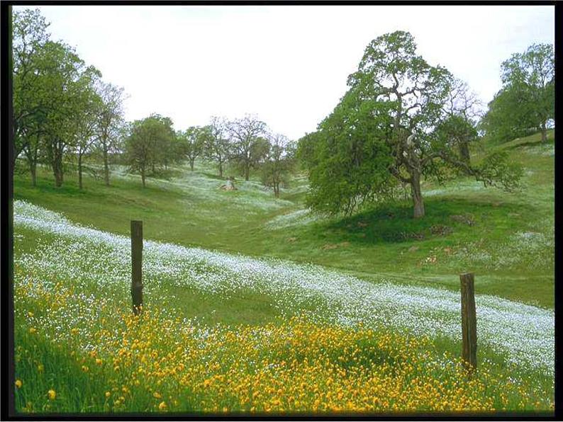 《春》ppt-部编版七年级上册初中语文第2页