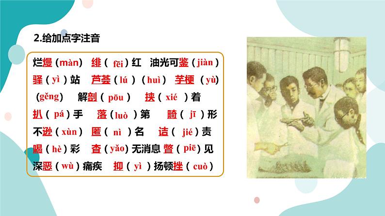 人教版8年级上册语文《藤野先生》（第1课时）课件第7页