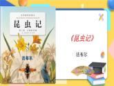 人教版8年级上册语文名著导读《昆虫记》（第2课时）课件