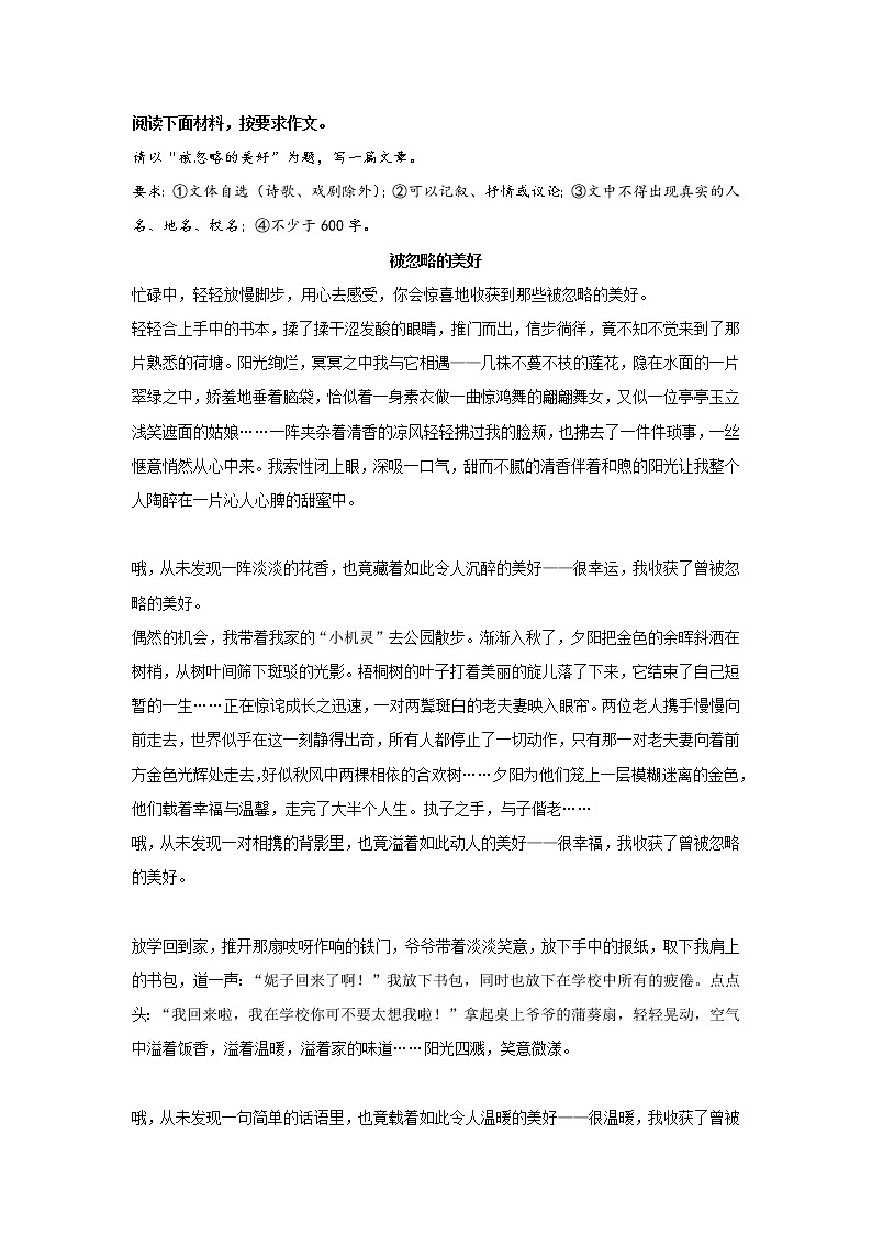 冲刺2023年中考语文考场作文必背范文 专题13  《被忽略的美好》第1页