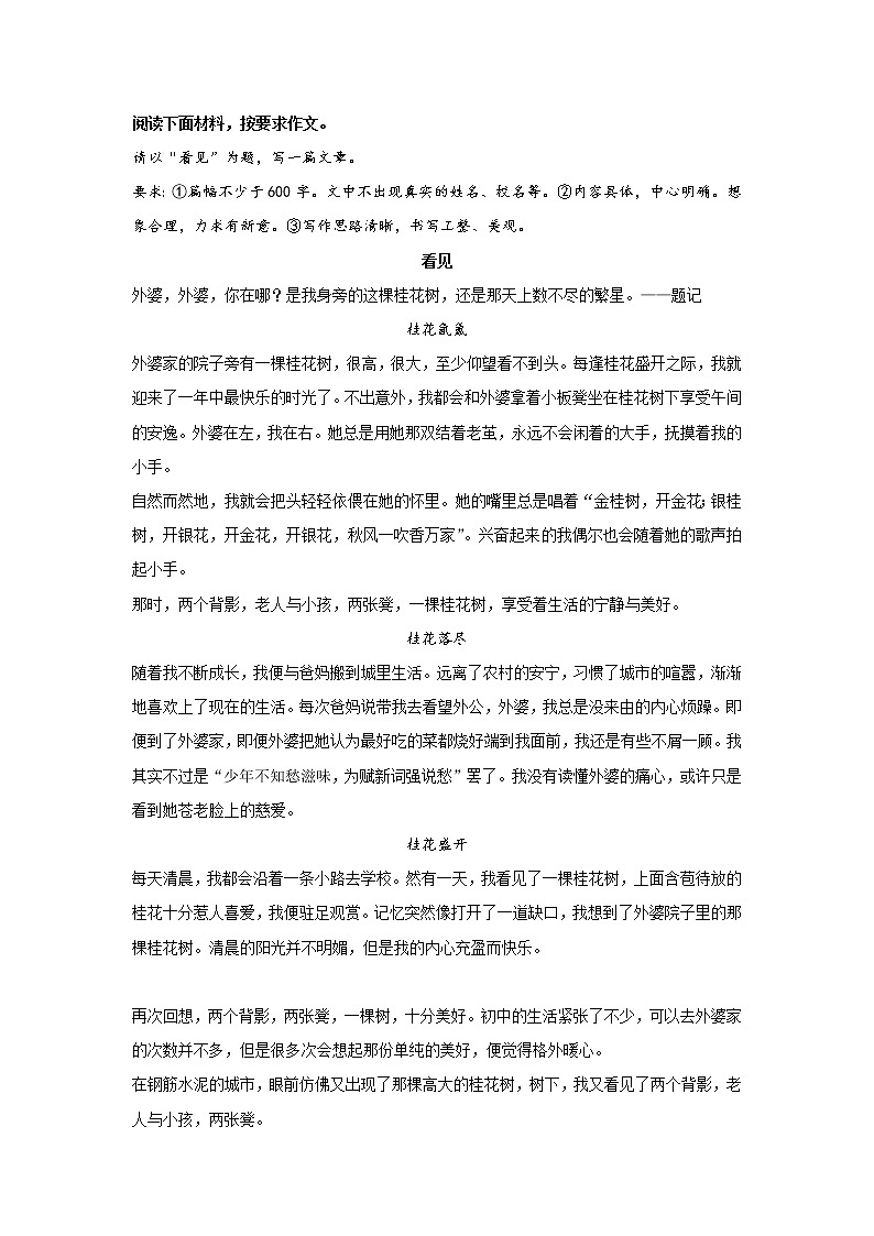 冲刺2023年中考语文考场作文必背范文 专题15  《看见》第1页
