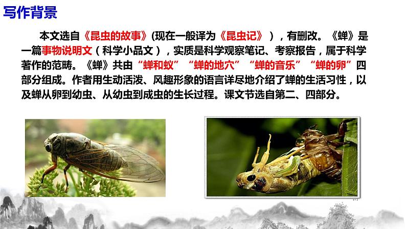 第21课《 蝉》课件+教学设计06