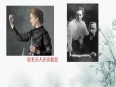 第9课《美丽的颜色》课件（共30页）2022-2023学年部编版语文八年级上册