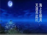 第11课《记承天寺夜游》课件++2022-2023学年部编版语文八年级上册 (1)