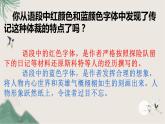 第二单元写作《学写传记》课件++2022-2023学年部编版语文八年级上册