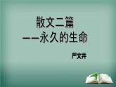 第16课《散文二篇-永久的生命》课件（共24页）2022-2023学年部编版语文八年级上册