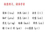 第9课《美丽的颜色》课件++2022-2023学年部编版语文八年级上册
