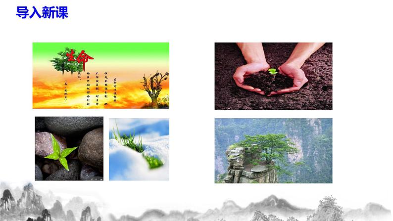 第16课《永久的生命》课件第3页