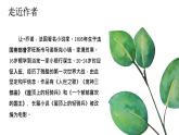 13《植树的牧羊人》 课件  2022-2023学年部编版语文七年级上册