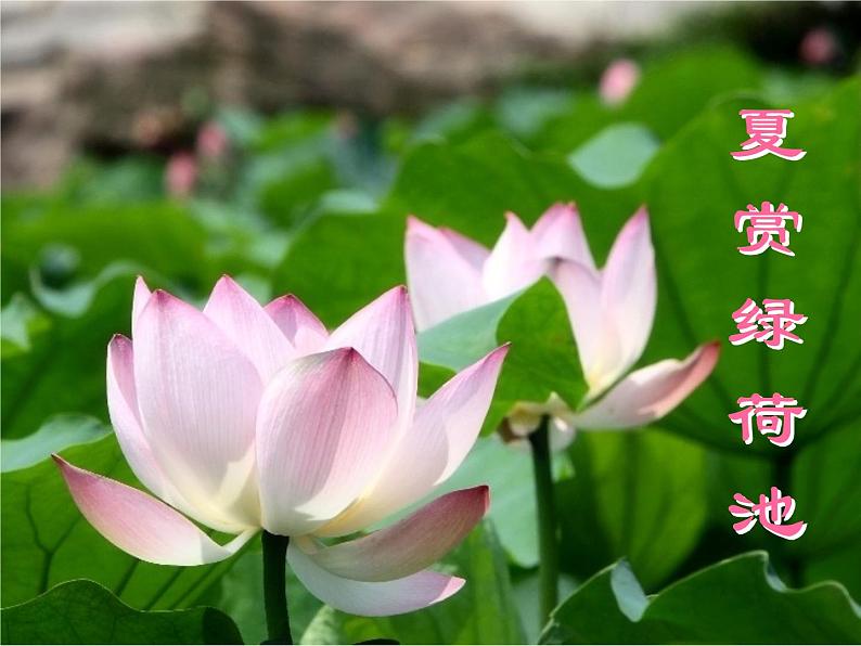 济南的冬天上课用课件第2页