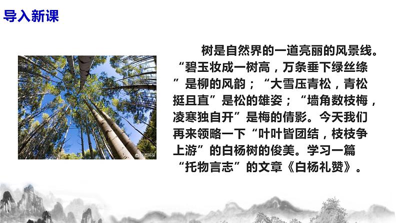 第15课《白杨礼赞》课件第4页