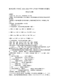 陕西省铜川市新区2021-2022学年七年级下学期期末质量检测语文试题(word版含答案)