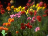 语文人教部编版1 春课文ppt课件