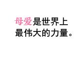 部编语文七年级上册第二单元5 秋 天 的 怀 念 课件