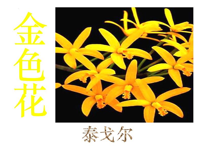 部编版语文七年级上册第7课《散文诗二首》课件第3页