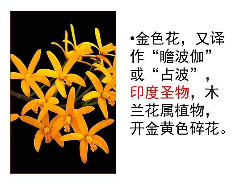 部编版语文七年级上册第7课《散文诗二首》课件第4页