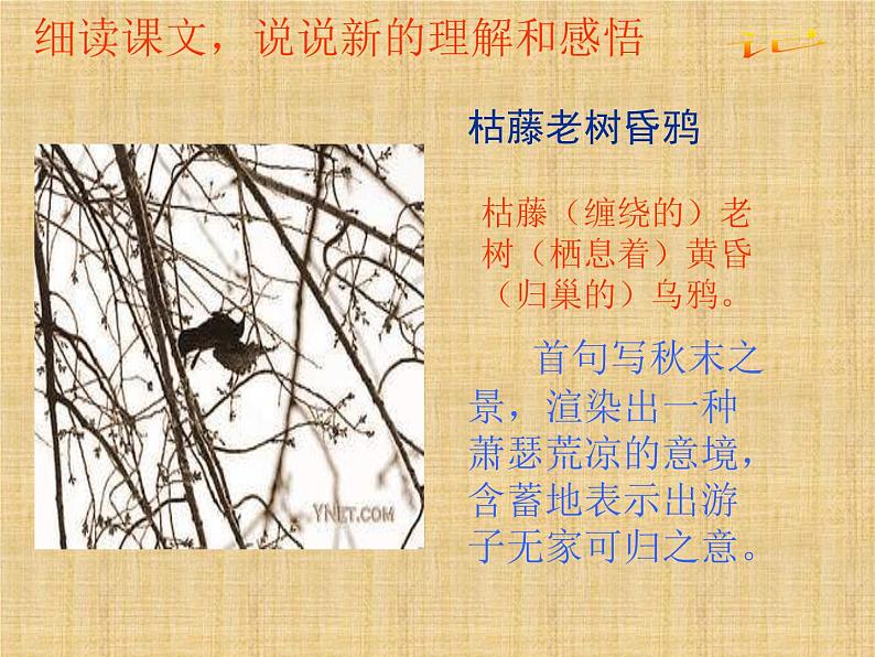 天净沙·秋思ppt第8页