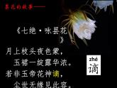 第18课《紫藤萝瀑布》课件+++2021-2022学年部编版语文七年级下册