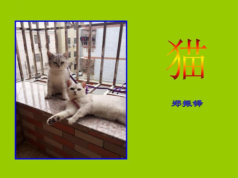 第16课《猫》课件（共26张PPT）+2022—2023学年部编版语文七年级上册04