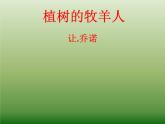 第13课《植树的牧羊》课件（共22张PPT）2022—2023学年部编版语文七年级上册