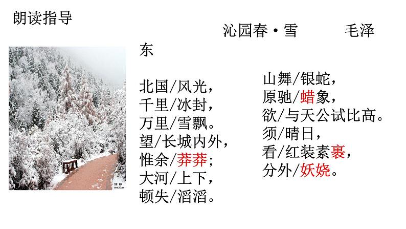 第1课《沁园春•雪》课件++2022-2023学年部编版语文九年级上册 (1)第5页