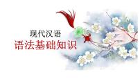2022年中考语文二轮专题复习：现代汉语语法基础知识课件（共31张PPT）